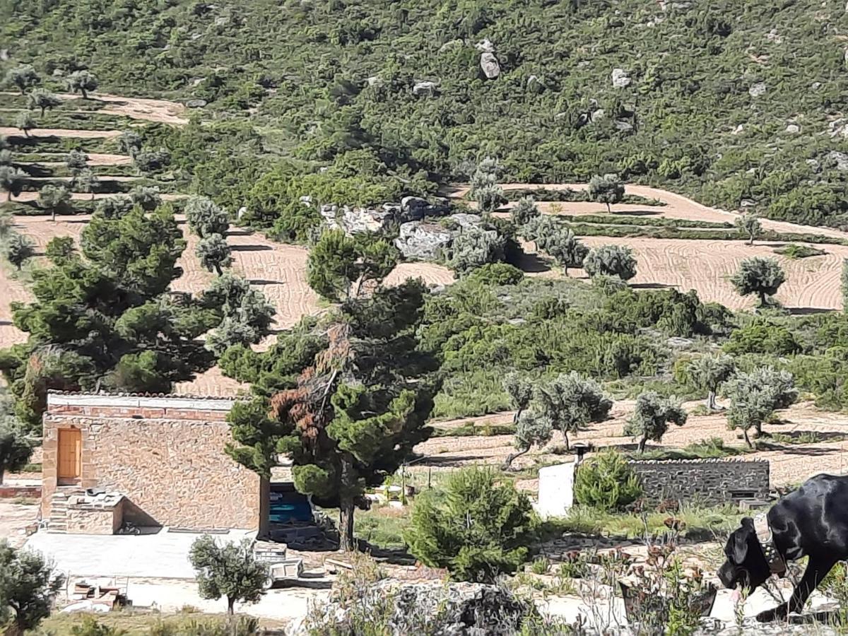Campo Golden Heritage Maella Extérieur photo